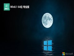 ʿ64λwin8.1콢v2024.12