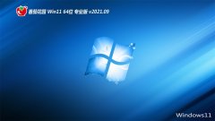 ѻ԰Windows11 64λ װ 2021.09